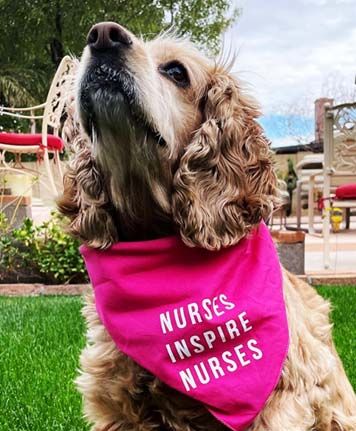A golden-brown cocker spaniel sits proudly on a green lawn, looking upward. The dog wears a bright pink bandana around its neck with the words, "NURSES INSPIRE NURSES" in white capital letters.